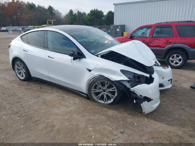 2023 TESLA MODEL Y 7SAYGDED0PF915222