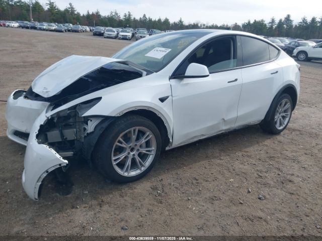 2023 TESLA MODEL Y 7SAYGDED0PF915222 Photo 1
