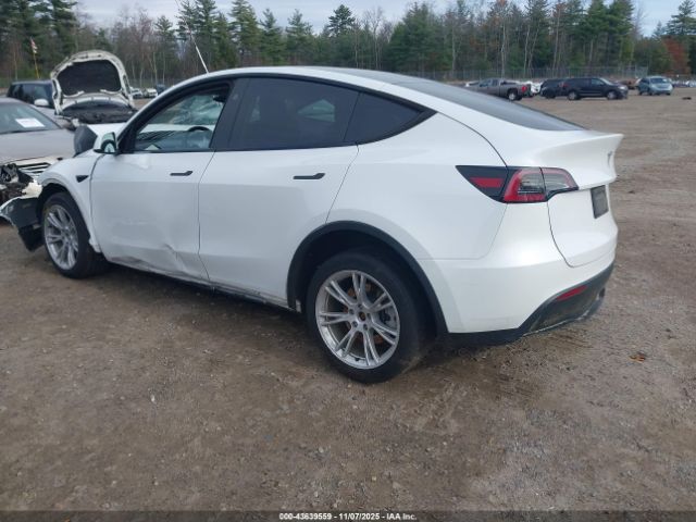2023 TESLA MODEL Y 7SAYGDED0PF915222 Photo 2