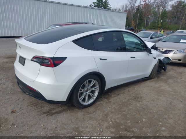 2023 TESLA MODEL Y 7SAYGDED0PF915222 Photo 3