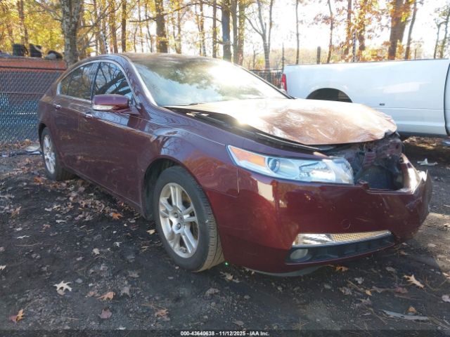 2010 ACURA TL 19UUA8F58AA013172