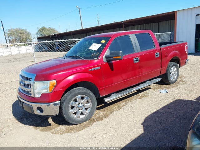 2013 FORD F-150 1FTFW1CF1DFD55664 Photo 1