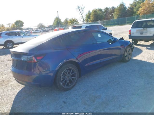 2023 TESLA MODEL 3 5YJ3E1EA0PF477531 Photo 3