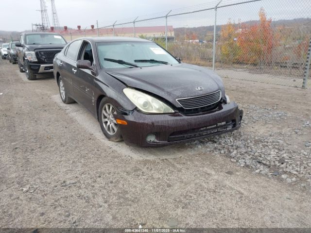 2004 LEXUS ES 330 JTHBA30G145022424