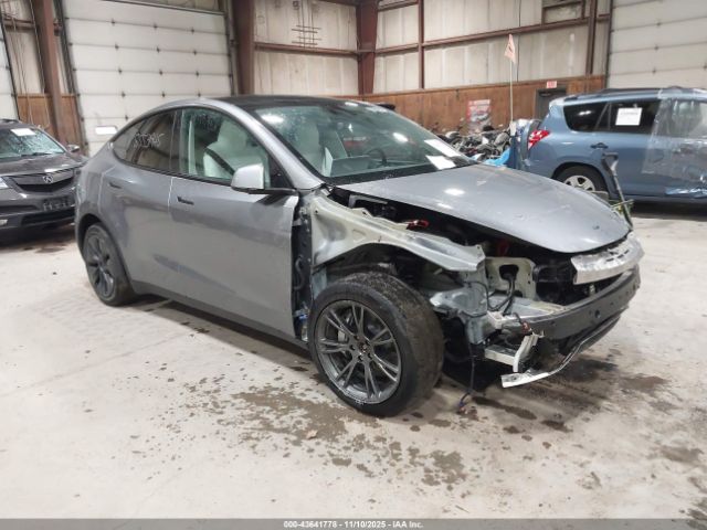 2025 TESLA MODEL Y 7SAYGAEE6SF265117