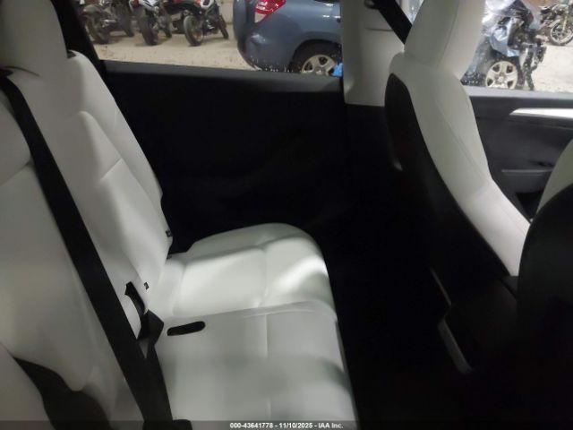 2025 TESLA MODEL Y 7SAYGAEE6SF265117 Photo 7
