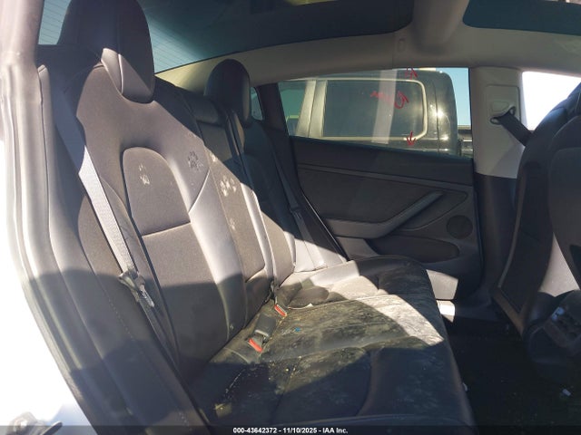 2021 TESLA MODEL 3 5YJ3E1EA8MF985581 Photo 7