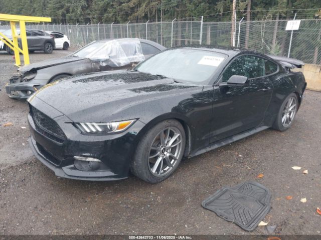 2017 FORD MUSTANG 1FA6P8TH2H5334976 Photo 1