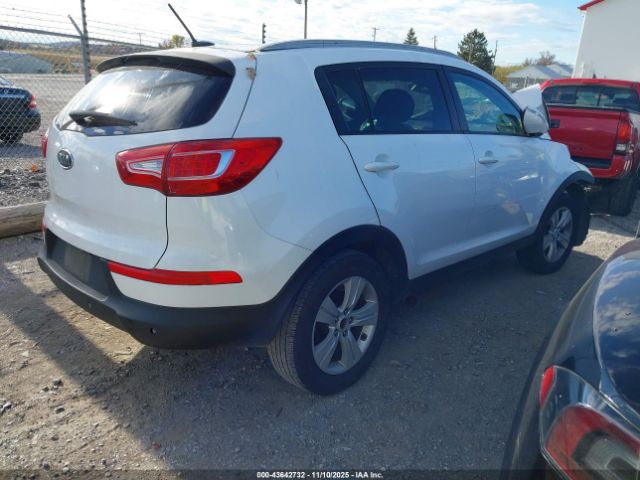 2012 KIA SPORTAGE KNDPB3A21C7337928 Photo 3