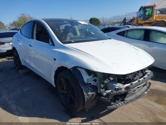2026 TESLA MODEL Y 7SAYGDEEXTF377485 Photo 0