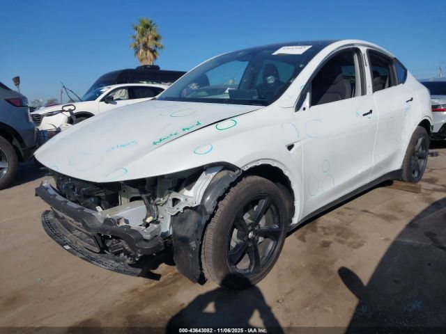 2026 TESLA MODEL Y 7SAYGDEEXTF377485 Photo 1