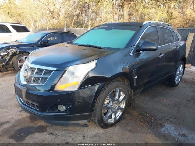 2011 CADILLAC SRX 3GYFNEEYXBS595940 Photo 1