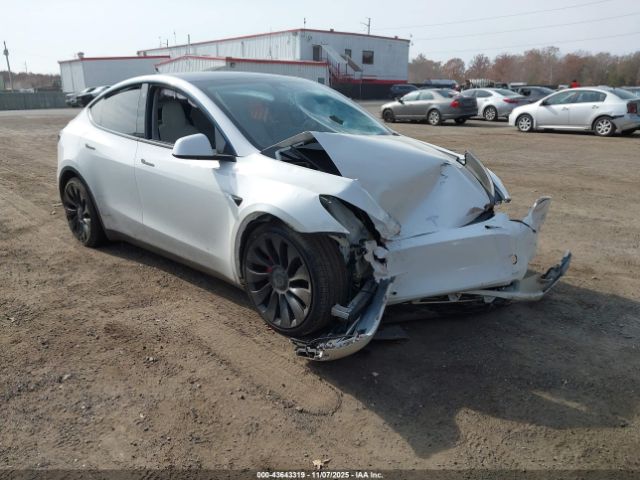 2021 TESLA MODEL Y 5YJYGDEF3MF197126 Photo 0