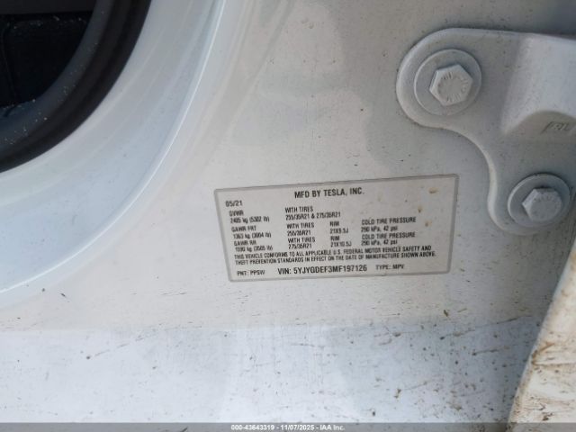 2021 TESLA MODEL Y 5YJYGDEF3MF197126 Photo 8