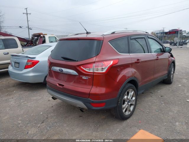 2015 FORD ESCAPE 1FMCU9JX4FUB28109 Photo 3