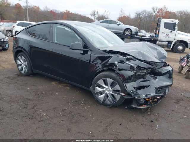 2023 TESLA MODEL Y 7SAYGDEE6PA191137 Photo 0
