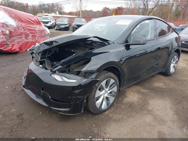 2023 TESLA MODEL Y 7SAYGDEE6PA191137 Photo 1