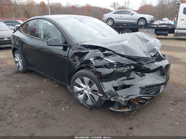 2023 TESLA MODEL Y 7SAYGDEE6PA191137 Photo 5