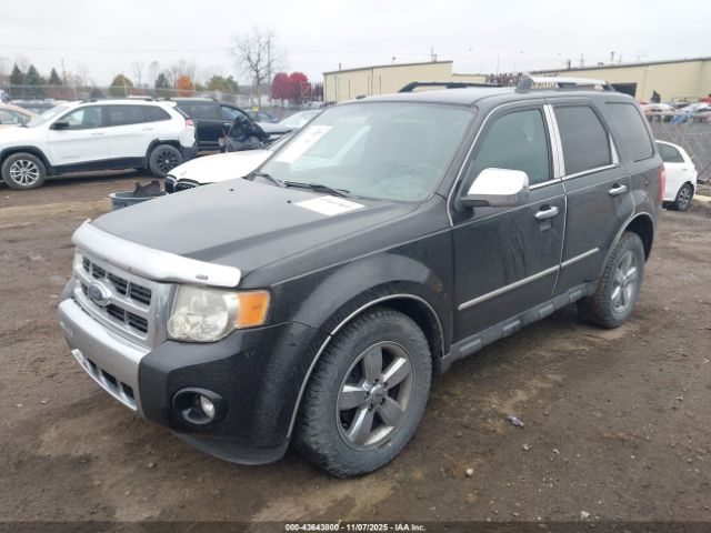 2009 FORD ESCAPE 1FMCU04G89KA57813 Photo 1