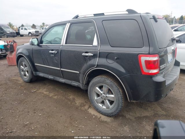 2009 FORD ESCAPE 1FMCU04G89KA57813 Photo 2