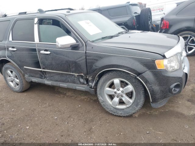 2009 FORD ESCAPE 1FMCU04G89KA57813 Photo 5