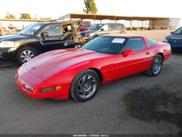 1996 CHEVROLET CORVETTE 1G1YY22P0T5113805 Photo 1