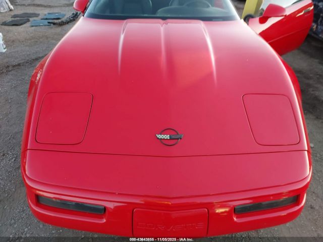 1996 CHEVROLET CORVETTE 1G1YY22P0T5113805 Photo 5