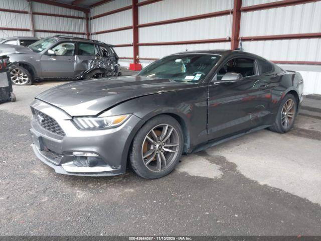 2017 FORD MUSTANG 1FA6P8TH2H5202767 Photo 1