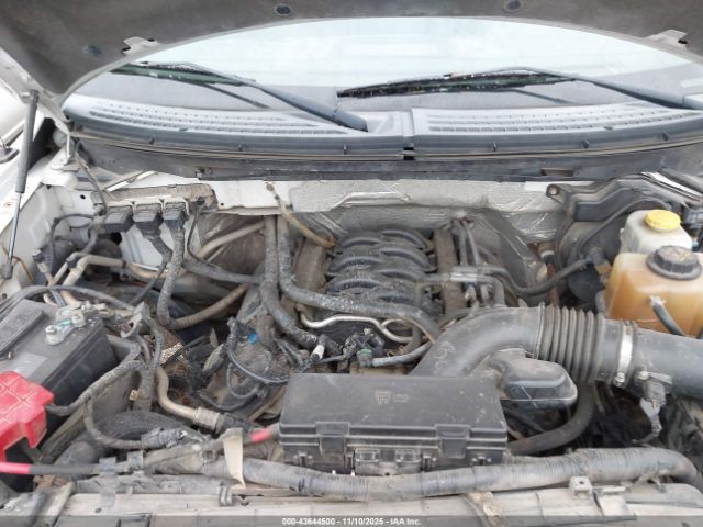 2014 FORD F-150 1FTFW1EF2EFB86513 Photo 9