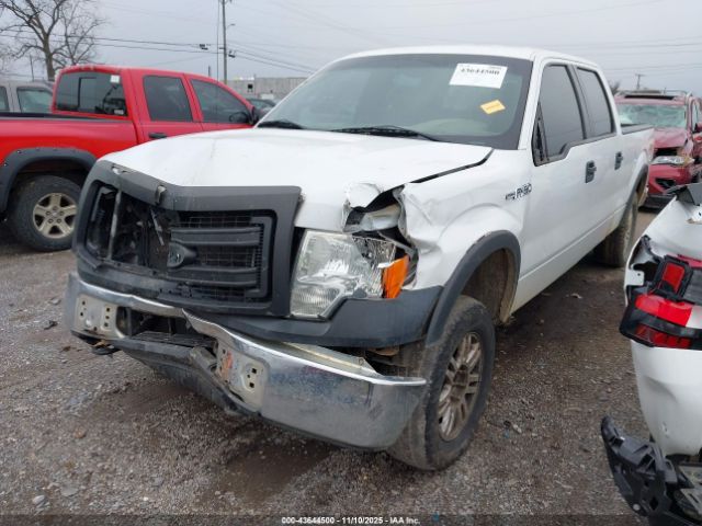 2014 FORD F-150 1FTFW1EF2EFB86513 Photo 1