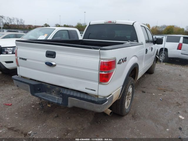 2014 FORD F-150 1FTFW1EF2EFB86513 Photo 3