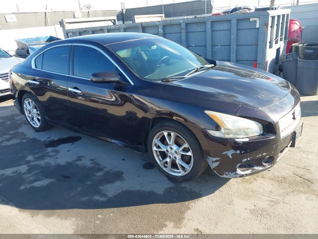 2013 NISSAN MAXIMA 1N4AA5AP0DC827565