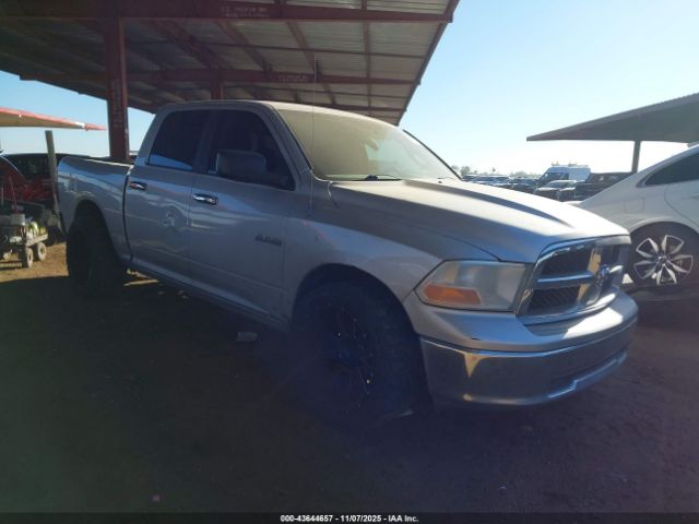 2009 DODGE RAM 1500 1D3HB13P19S751161