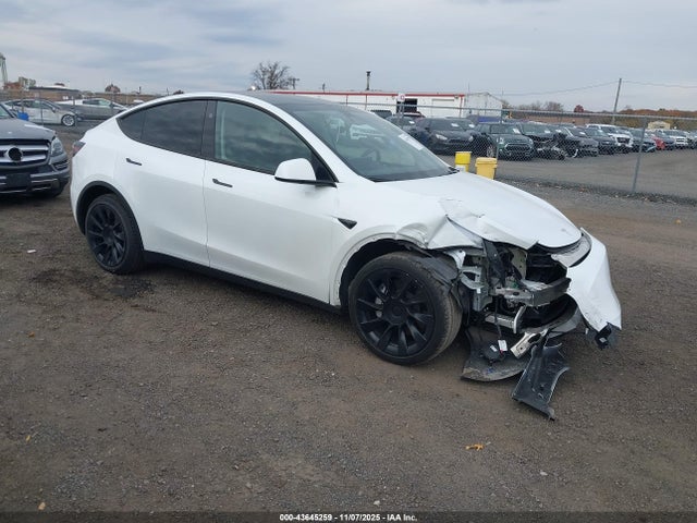 2024 TESLA MODEL Y 7SAYGDEE3RA259090 Photo 0