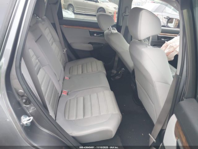 2019 HONDA CR-V JHLRW2H54KX020086 Photo 7
