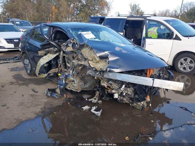 Aukcja sprzedaży 2019 Hyundai Ioniq Hybrid Blue, vin: KMHC65LC5KU171655, numer aukcji: 43645814