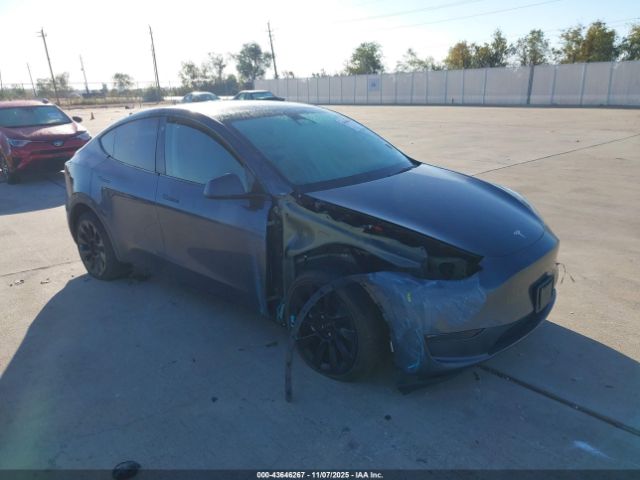 2023 TESLA MODEL Y 7SAYGDEEXPA117249