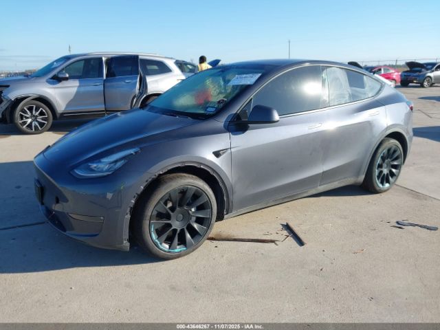 2023 TESLA MODEL Y 7SAYGDEEXPA117249 Photo 1