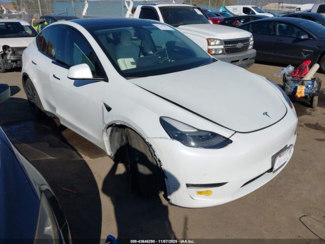 2022 TESLA MODEL Y 7SAYGDEF4NF391443