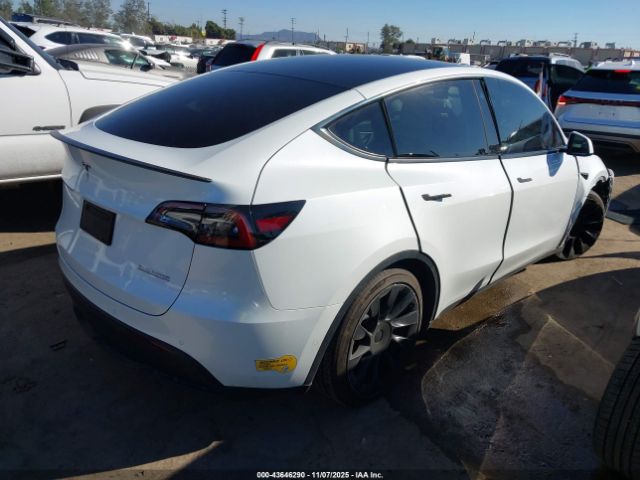 2022 TESLA MODEL Y 7SAYGDEF4NF391443 Photo 3