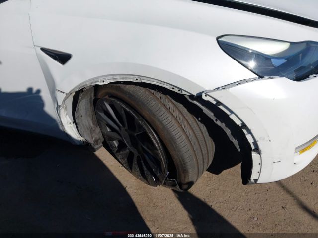 2022 TESLA MODEL Y 7SAYGDEF4NF391443 Photo 5