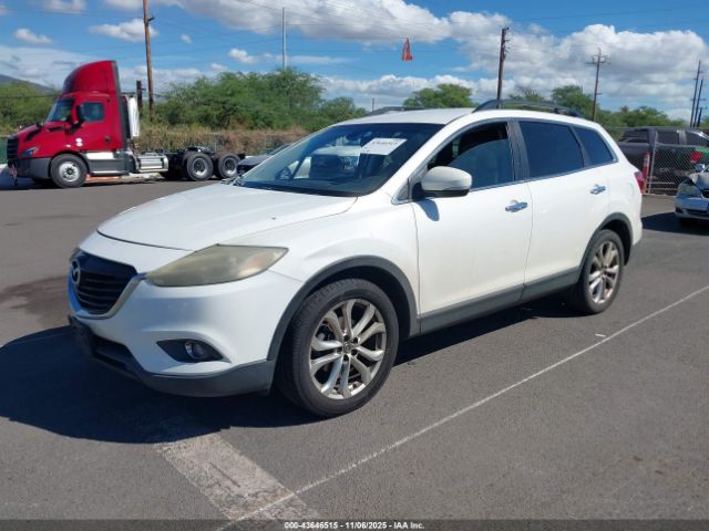 2013 MAZDA CX-9 JM3TB2DA5D0423451 Photo 1