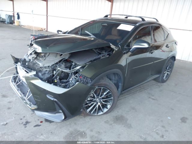 2024 LEXUS NX 350 2T2AGCEZ3RC035431 Photo 1