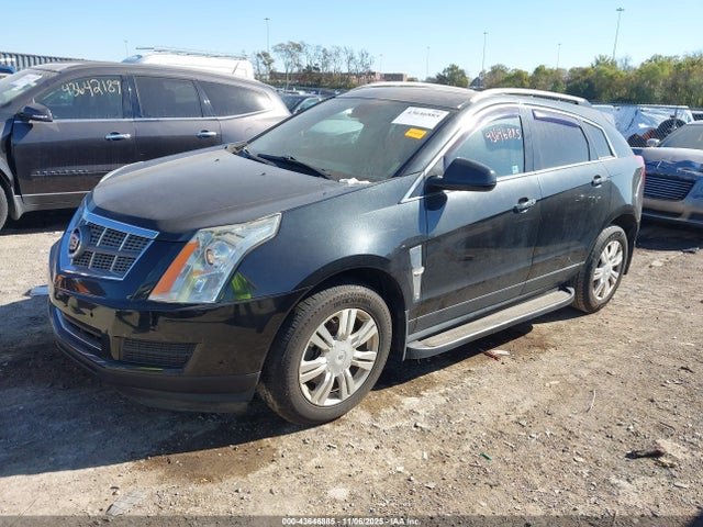 2011 CADILLAC SRX 3GYFNAEYXBS556032 Photo 1
