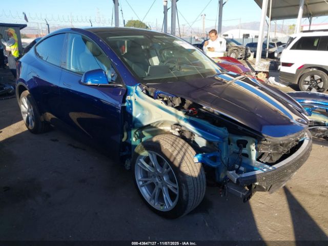 2023 TESLA MODEL Y 7SAYGDEEXPA032489 Photo 0
