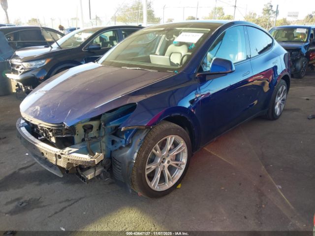 2023 TESLA MODEL Y 7SAYGDEEXPA032489 Photo 1