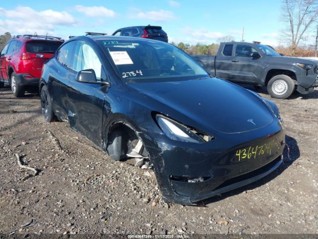 2021 TESLA MODEL Y 5YJYGDEF7MF230662 Photo 0