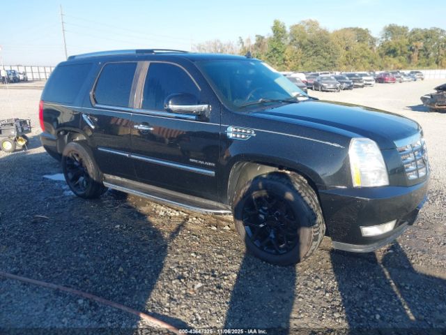 2010 CADILLAC ESCALADE 1GYUKBEF1AR201207