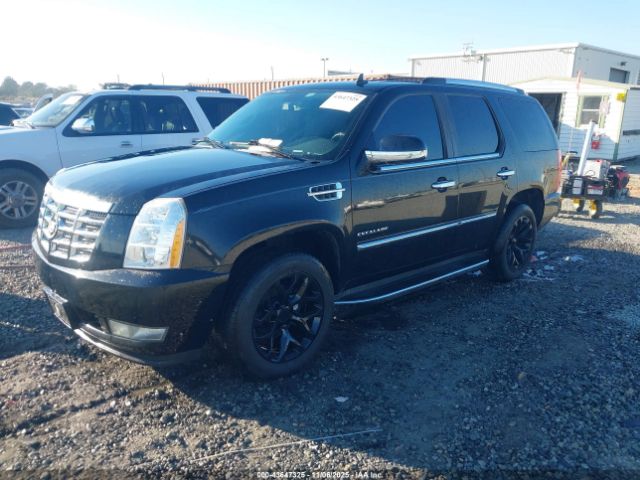 2010 CADILLAC ESCALADE 1GYUKBEF1AR201207 Photo 1