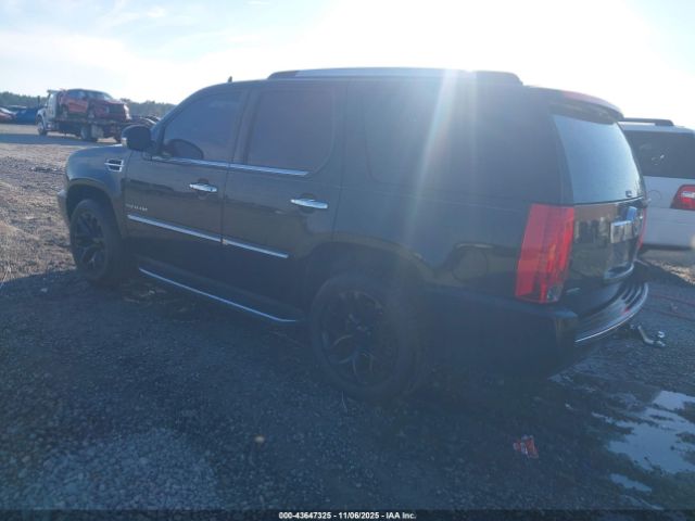 2010 CADILLAC ESCALADE 1GYUKBEF1AR201207 Photo 2